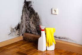 Best Water Damage & Mold Remediation  in Cottonwood, AL